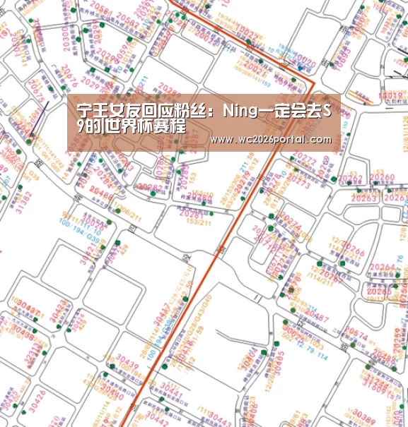 宁王女友回应粉丝:Ning一定会去S9的|世界杯赛程(图2) 赛事新闻